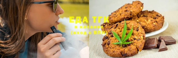 индика Мегион