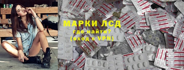 индика Мегион