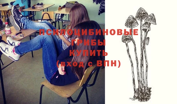 соль курить ск Медвежьегорск