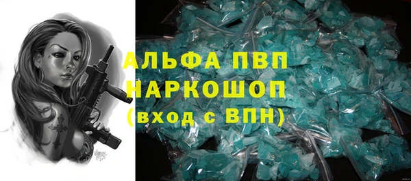 индика Мегион