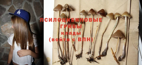 индика Мегион