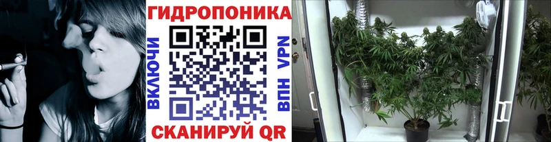 где купить наркоту  гидра ТОР  Шишки марихуана MAZAR  Мензелинск 